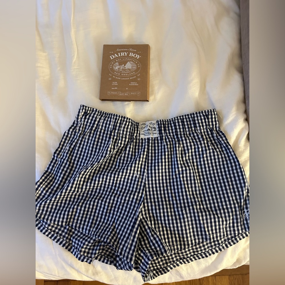 Dairy Boy Blue Gingham Boxer Shorts S/M